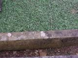 image of grave number 795051